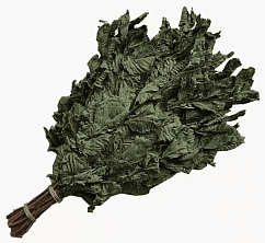 Веник Орех